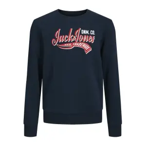 Детская толстовка Jack & Jones "JJELOGO SWEAT CREW NECK 2 COL SS24 JNR" Jack & Jones Junior, синий