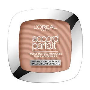 Объединяющая и совершенствующая компактная пудра Accord Parfait L'Oreal, 5.R