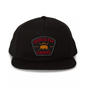 Мужские бейсболки Hi Tapa Plains Snapback Quiksilver, серый