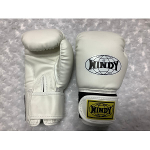 Боксерские детские перчатки Windy BGVC, белый