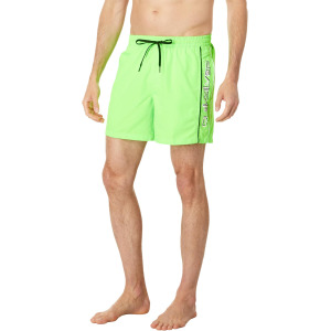 Шорты для плавания Quiksilver Everyday Vert 16" Volley, цвет Green Gecko