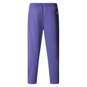 Спортивные брюки The North Face M STANDARD PANT, фиолетовый