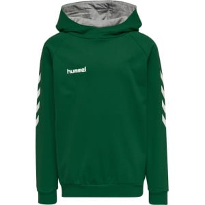 Худи Hummel Cotton Hmlgo Multisport Kinder, цвет evergreen