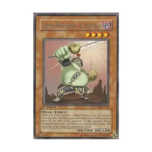 CCG Джинн-предводитель ритуалов (редкий), Yu-Gi-Oh - Stardust Overdive - Singles