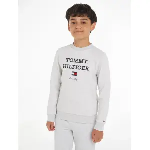 Толстовка Tommy Hilfiger "TH LOGO SWEATSHIRT", с большим логотипом, серый