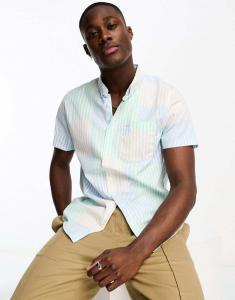 Hollister CDEK.Shopping