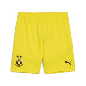 Спортивные брюки PUMA Regular Workout Pants Borussia Dortmund 24/25, желтый