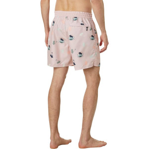 Шорты для плавания Vans Primary Print Elastic 17" Boardshorts, цвет Rose Smoke