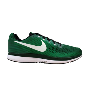 Nike Air Zoom Pegasus 34 TB Gorge Green CDEK.Shopping