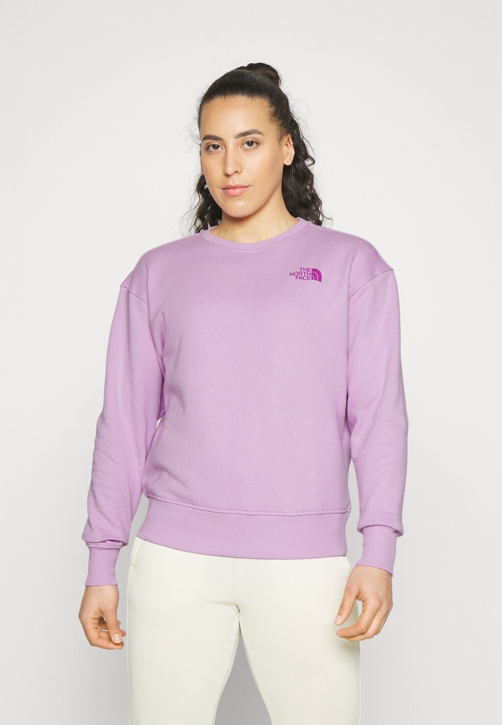 

Толстовка The North Face