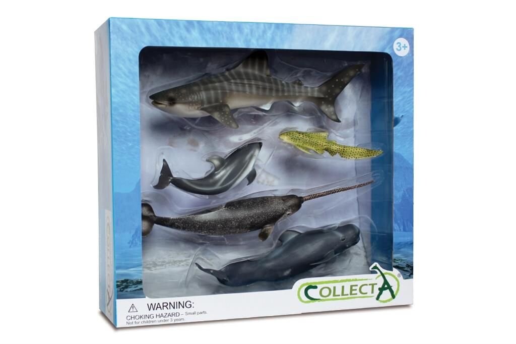

Collecta, Коллекционная фигурка, набор морских животных в упаковке, 5 шт., кат. № 89671.