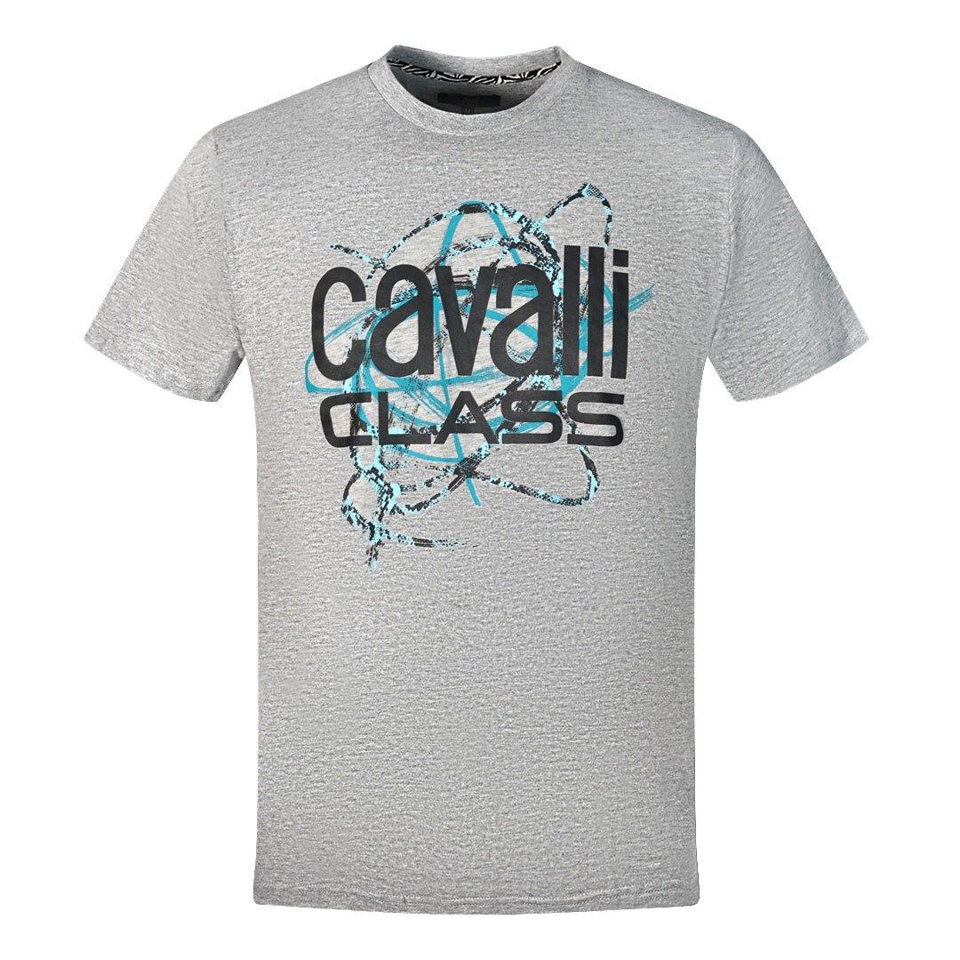Серая футболка Snake Skin Scribble Cavalli Class, серый