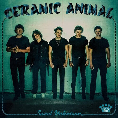 

Виниловая пластинка Ceramic Animal: Sweet Unknown