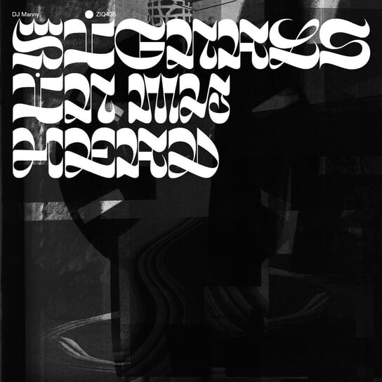 

Виниловая пластинка Dj Manny - Signals In My Head