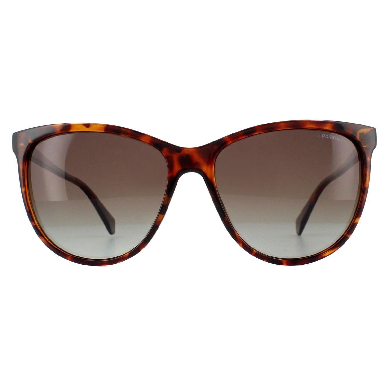 polaroid pld 4124 s 086 Квадратные темные гаванно-коричневые поляризованные солнцезащитные очки Polaroid, коричневый