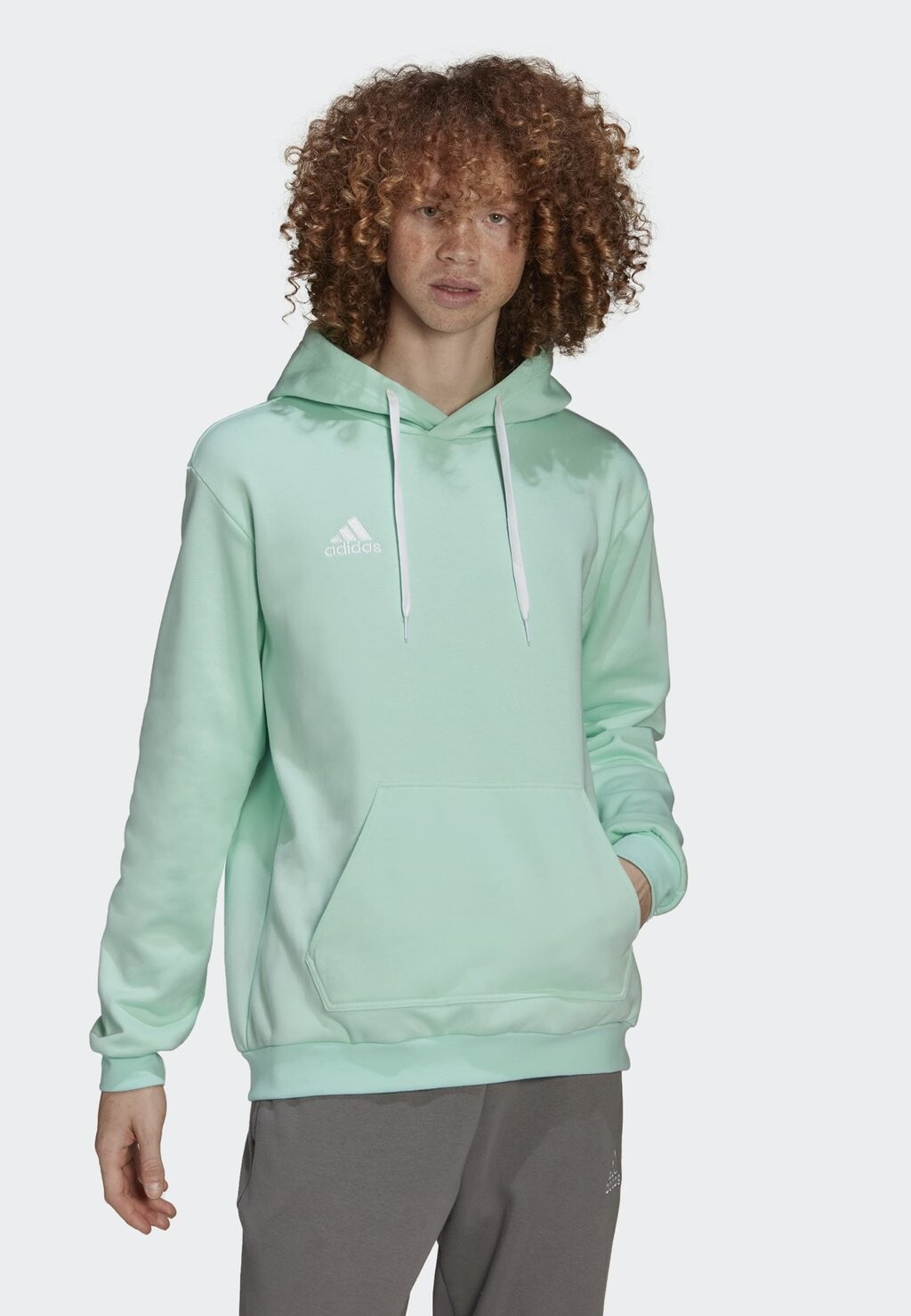 

Толстовка Entrada 22 Sweat Adidas, бирюзовый, Зеленый