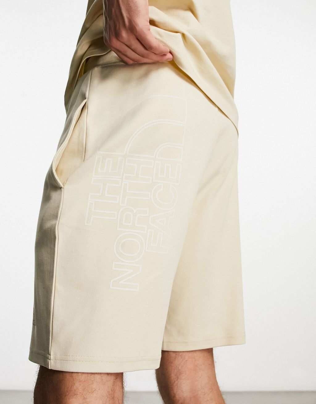 

Легкие флисовые шорты с рисунком на спине The North Face