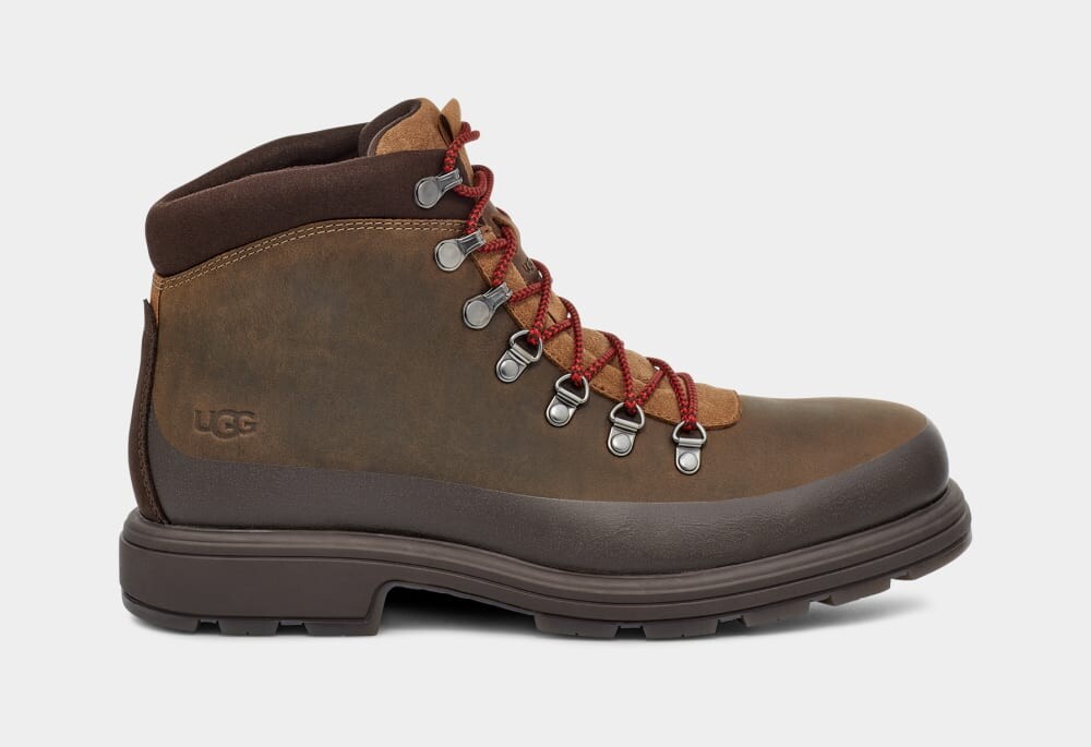 

Ботинки Biltmore Hiker UGG, коричневый