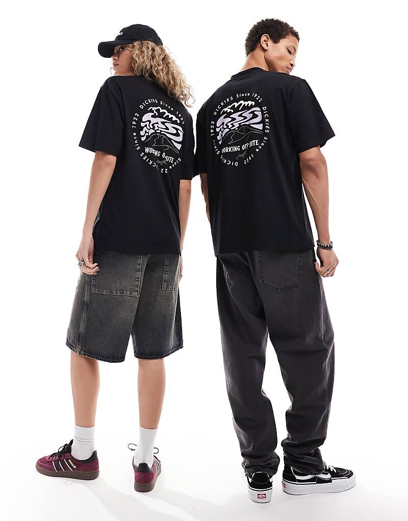 

Черная футболка Dickies – Stanardsville – с принтом на спине