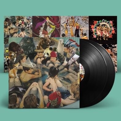 

Виниловая пластинка Panda Bear - Person Pitch