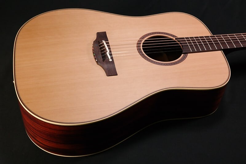 

Акустическая гитара Takamine FN15AR Limited Dreadnought Acoustic Guitar 567