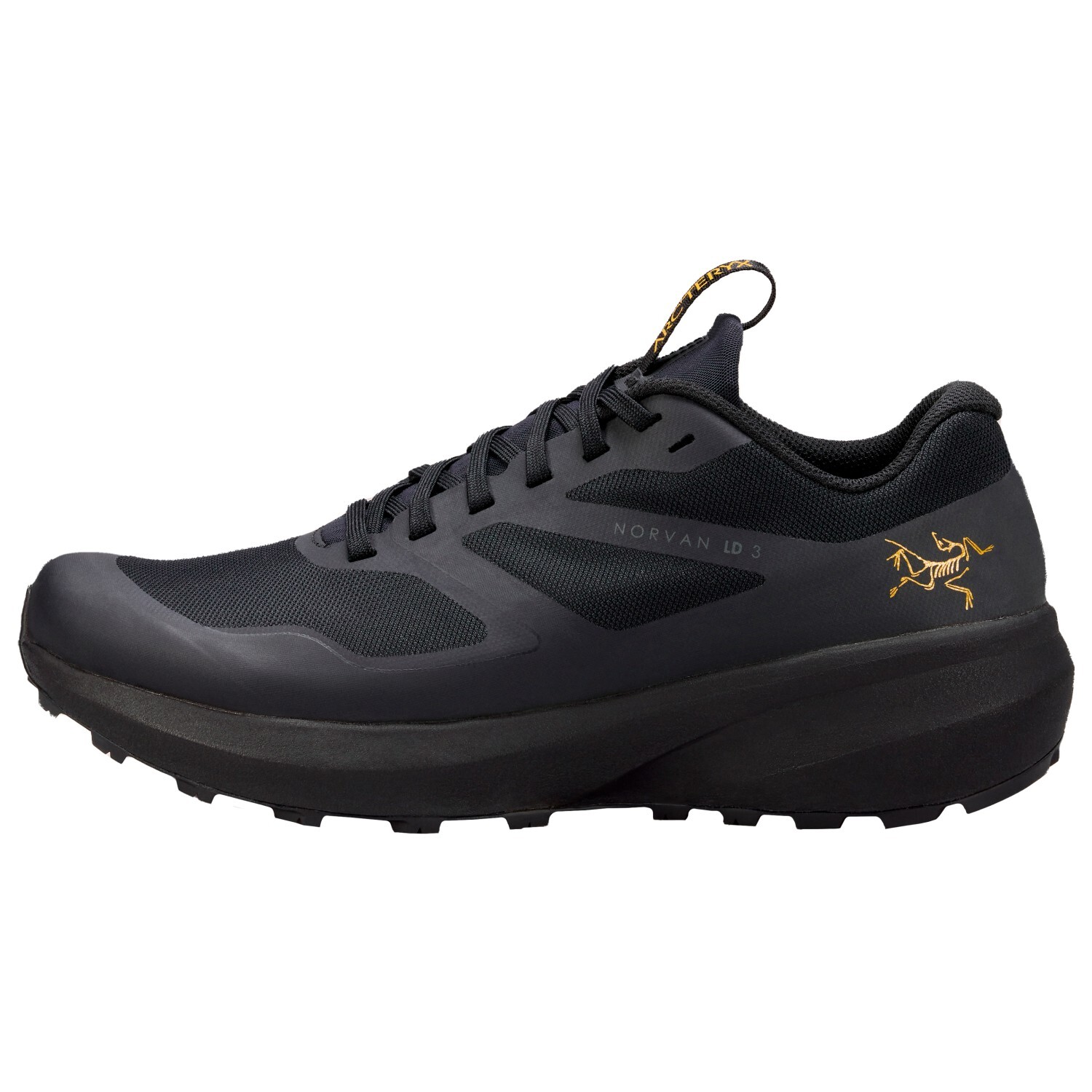 Кроссовки для бега по пересеченной местности Arc'Teryx Norvan LD 3, цвет Black/Black