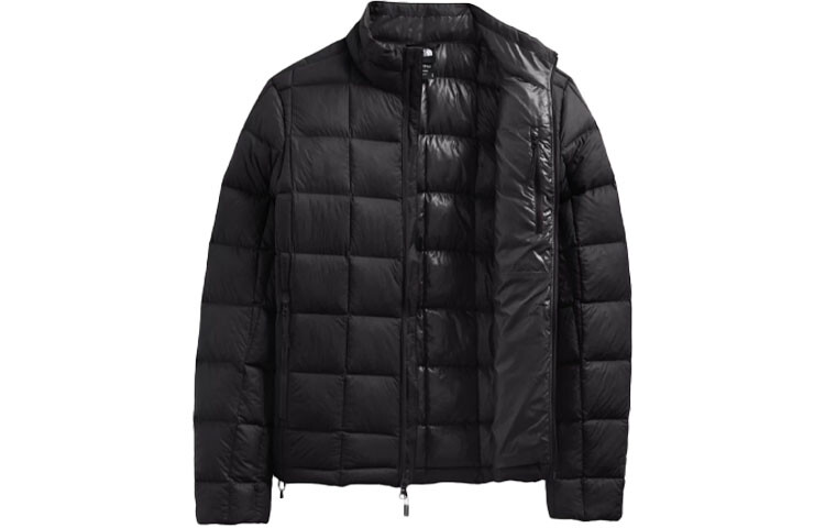 

THE NORTH FACE Мужской пуховик, цвет Black