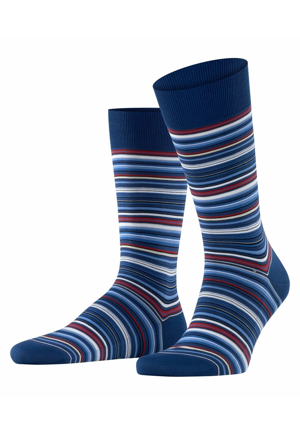 

Носки MICROBLOCK BUSINESS & CASUAL FALKE, королевский синий