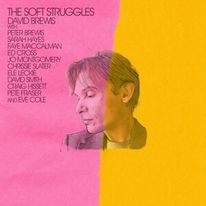 

Виниловая пластинка Brewis David - Soft Struggles