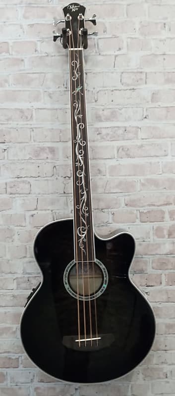Басс гитара Michael Kelly DRAGONFLY 4 FRETLESS ACOUSTIC ELECTRIC BASS Acoustic Bass Guitar
