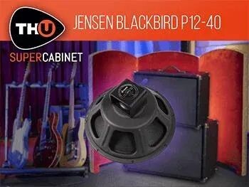 

ИК-библиотека Overloud TH-U SuperCabinet — Jensen Blackbird 12-40