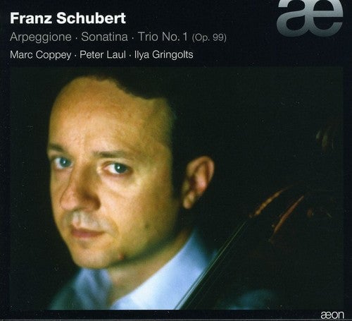 

CD диск Schubert / Coppey / Gringolts / Laul: Arpeggione Sonatina & Trio Op 99 D898