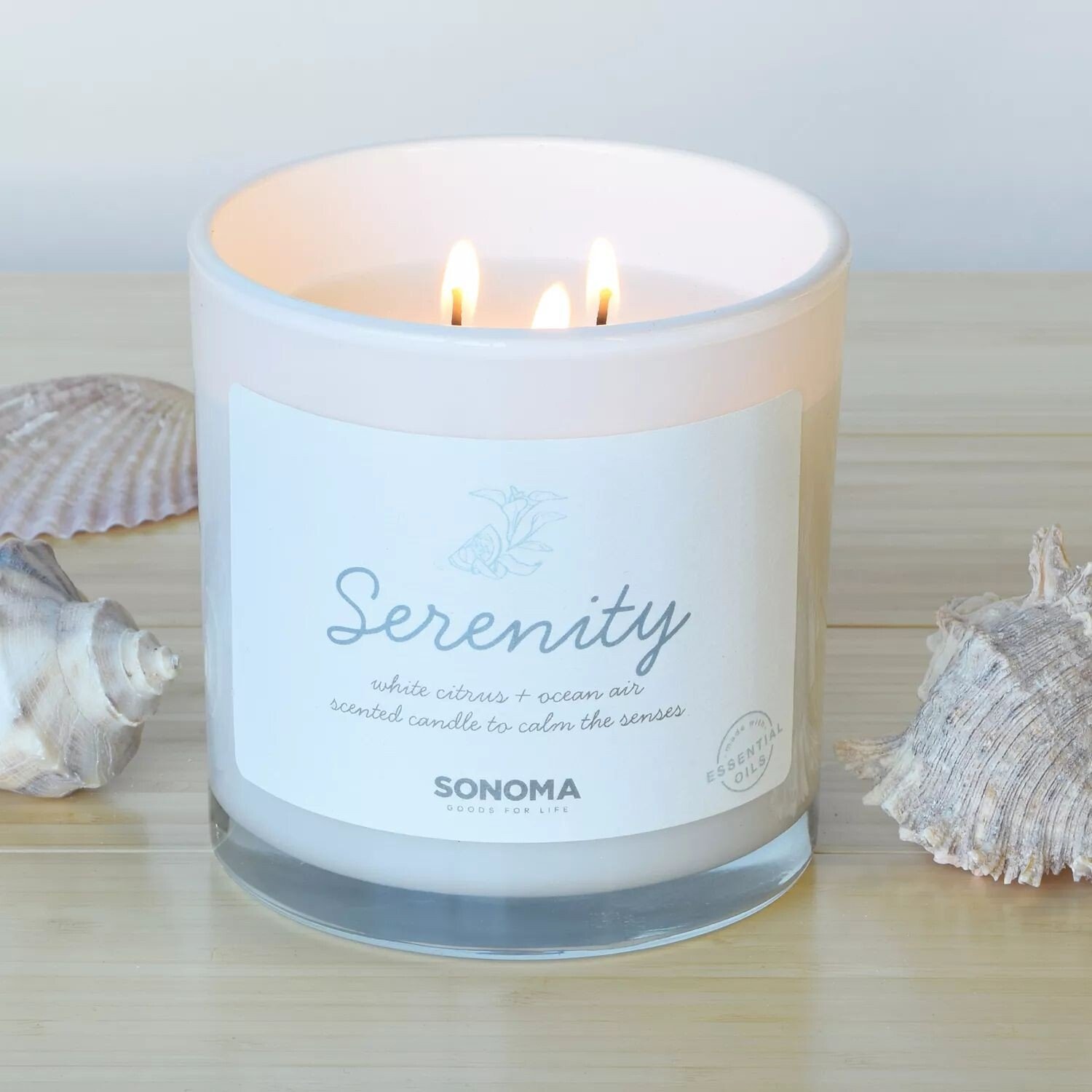 

Sonoma Goods For Life, 13 унций. Свеча Serenity White Citrus & Ocean Air с 3 фитилями в банке