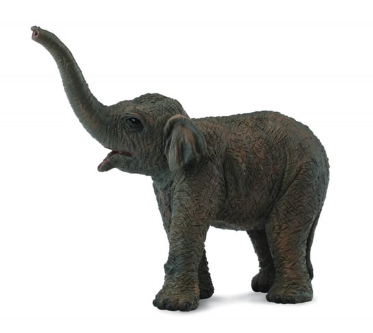 Collecta, Коллекционная статуэтка, Азиатский слон schleich коллекционная статуэтка молодой азиатский слон