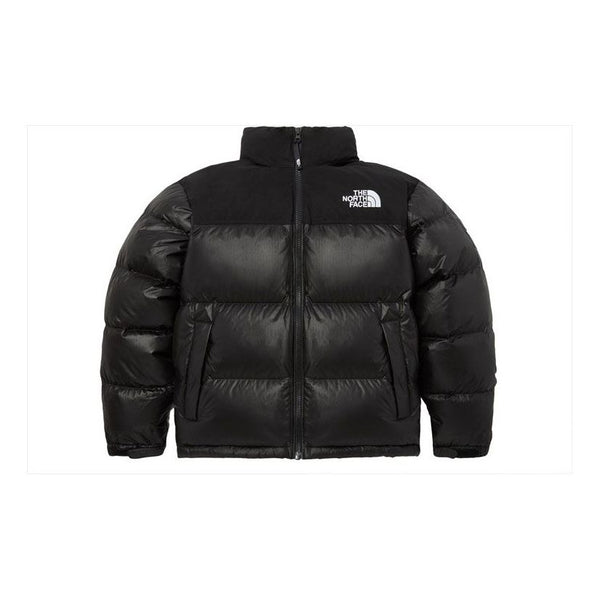 The north face men's store novelty nuptse jacket