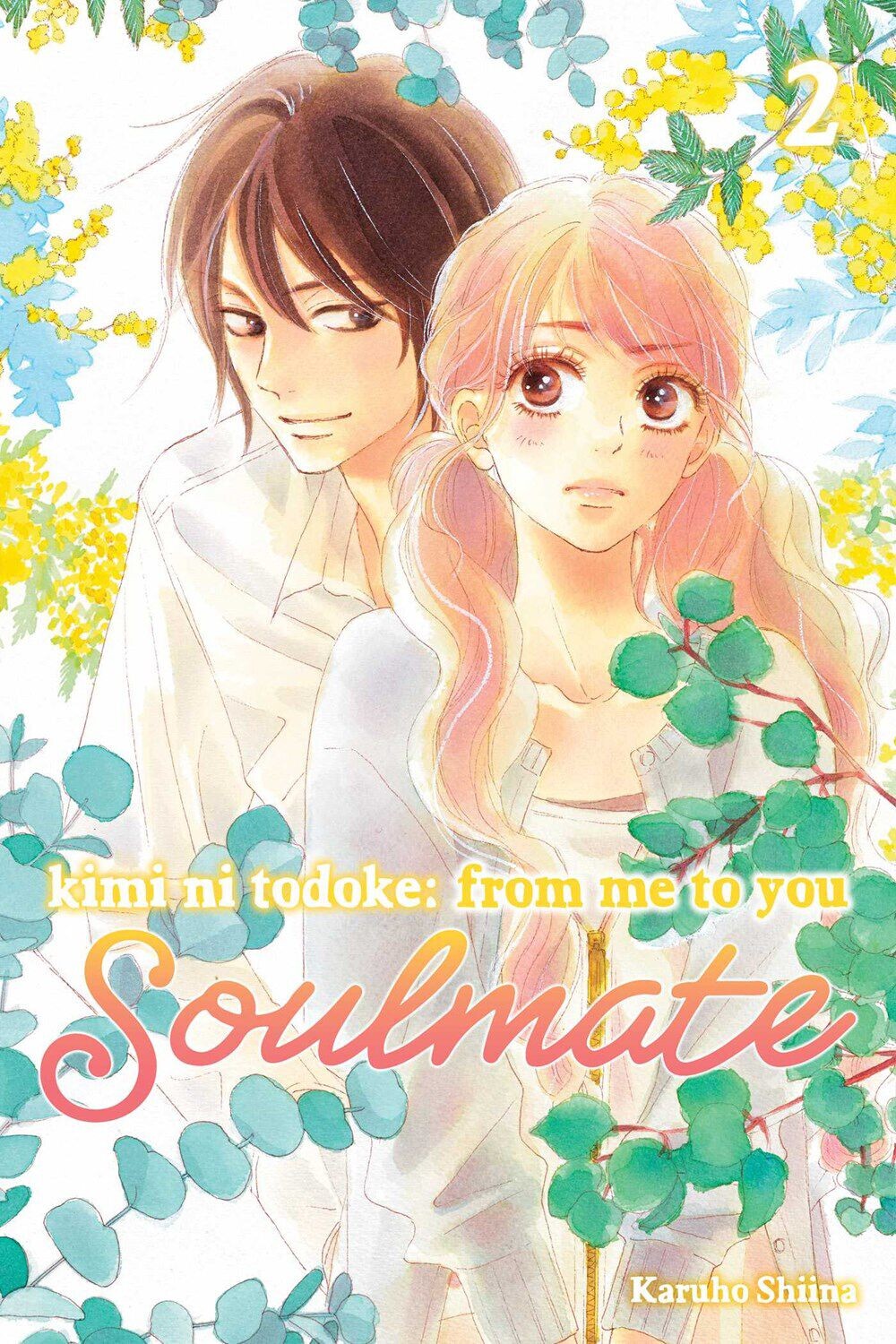 

Манга Kimi ni Todoke: From Me to You: Soulmate Manga Volume 2