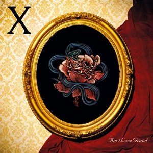 Виниловая пластинка X - Ain't Love Grand рок music on vinyl therapy – infernal love