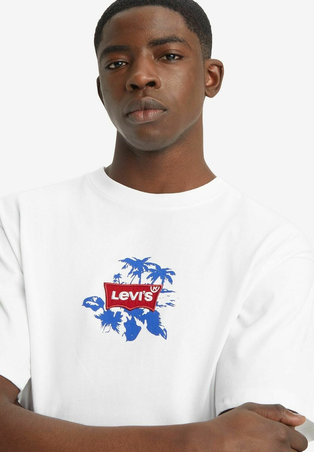 

Базовая футболка VINTAGE FIT TEE Levi's®, цвет White Denim