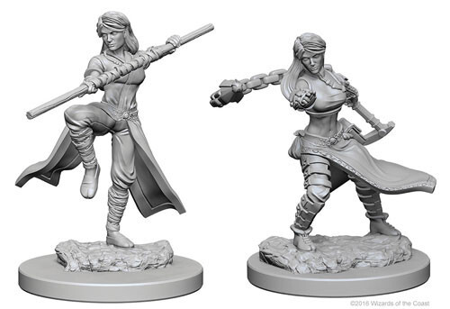 

Миниатюра WizKids/NECA D&D Nolzur's Marvelous Unpainted Minis: W1 Female Human Monk