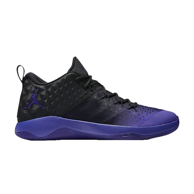 

Кроссовки Air Jordan Jordan Extra Fly 'Concord', черный