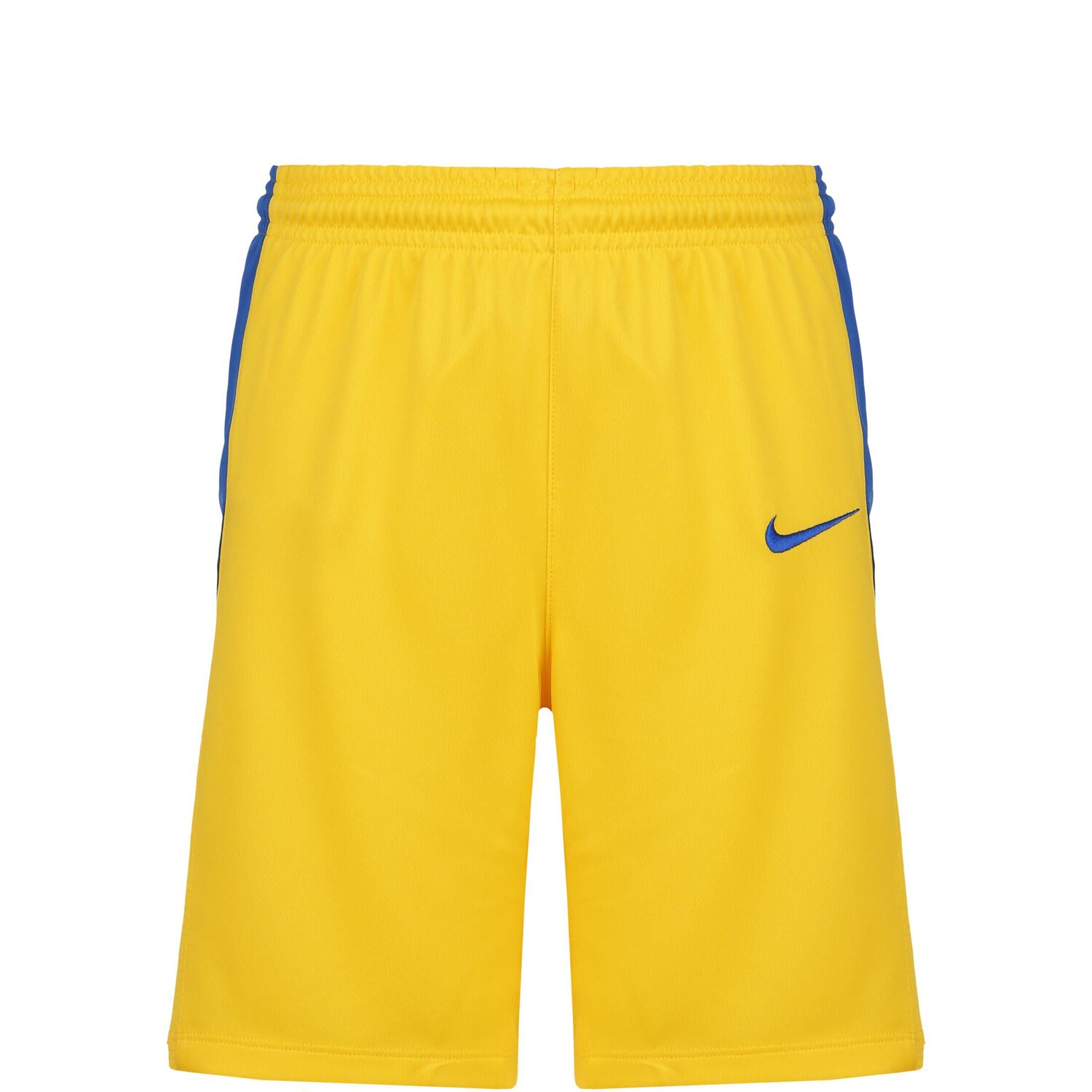 

Шорты Nike Trainings Team Basketball Stock, цвет gelb / blau