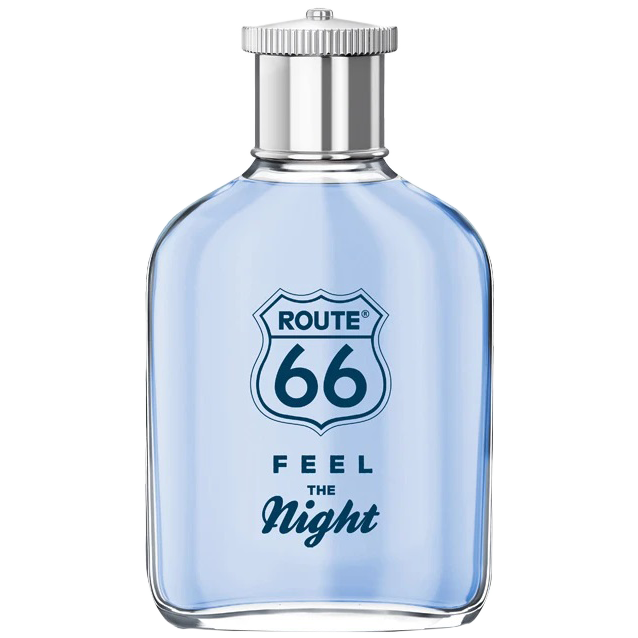 Мужская туалетная вода Route 66 Feel The Night, 100 мл патаки х дороги от тропинки до шоссе