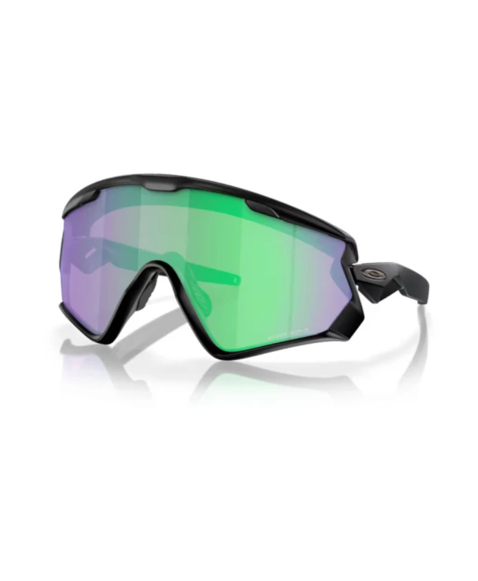 

Стильная коллекция солнцезащитных очков для солнечных дней Oakley, черный