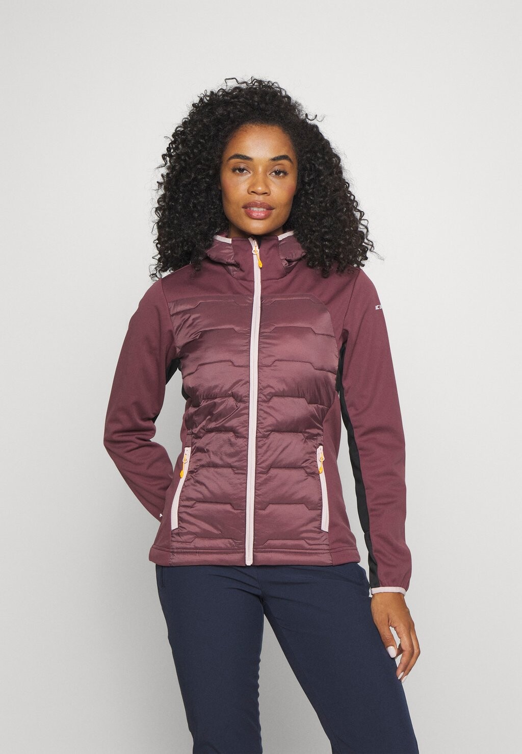 

Куртка soft shell Icepeak, Коричневый