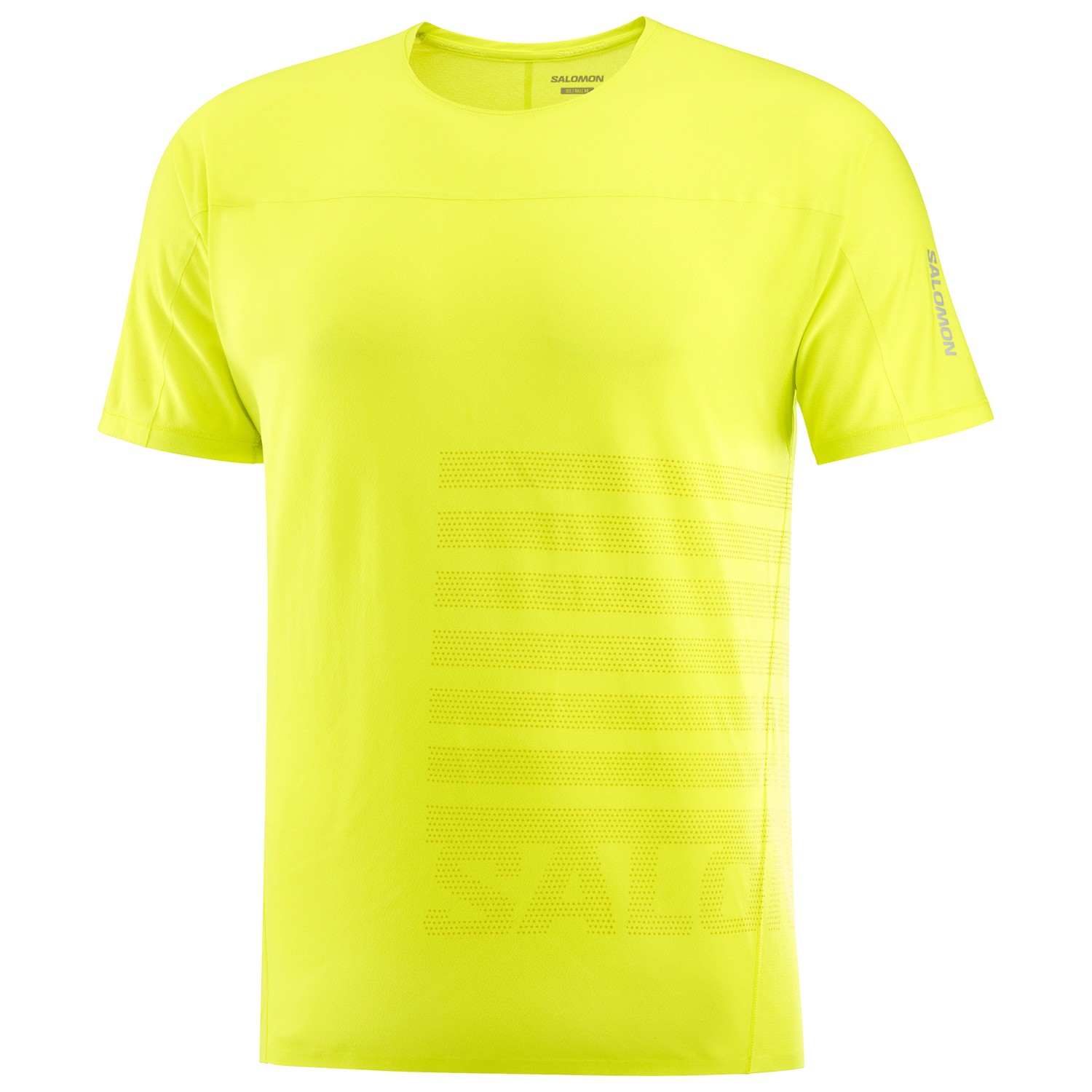 Беговая рубашка Salomon Sense Aero S/S Tee GFX, цвет Sulphur Spring/Citronelle