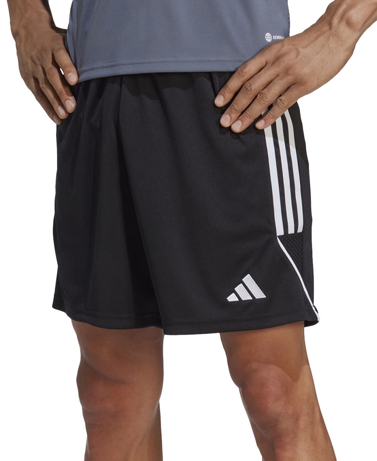 

Мужские шорты Tiro 23 Performance League adidas