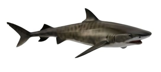 Collecta, Коллекционная фигурка, Тигровая акула наградная статуэтка акула бизнеса