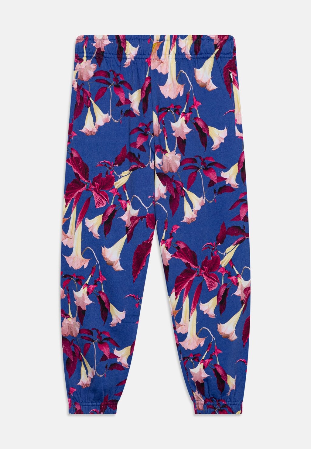 

Спортивные брюки Adan Pants Molo, цвет blue/pink