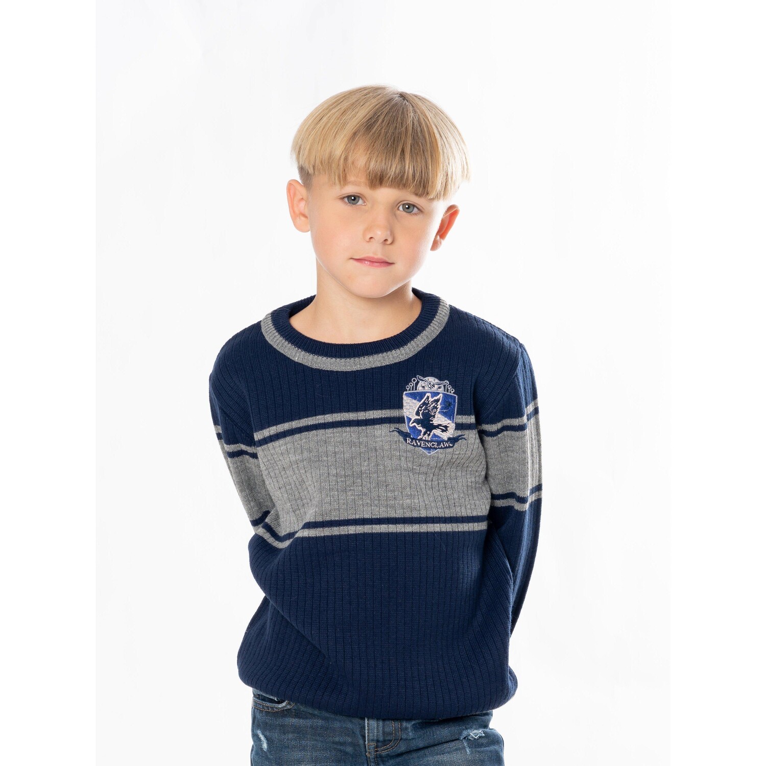 

Детский университетский джемпер Harry Potter Ravenclaw Rubie's, мультиколор