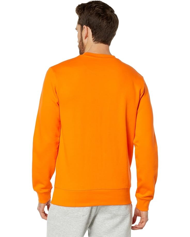 

Толстовка Carrots By Anwar Carrots Groovy Wordmark Crewneck Sweatshirt, оранжевый